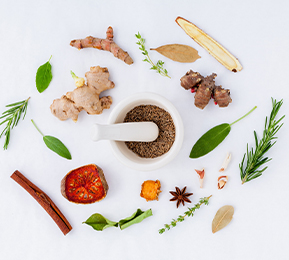 釋放植物力量，實現(xiàn)植物功能成分風(fēng)味優(yōu)化及多維度功能覆蓋